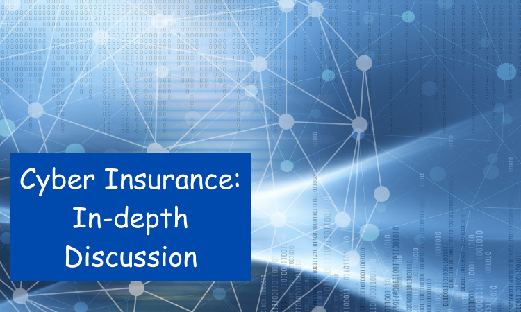 Cyber Insurance: In-depth Discussion