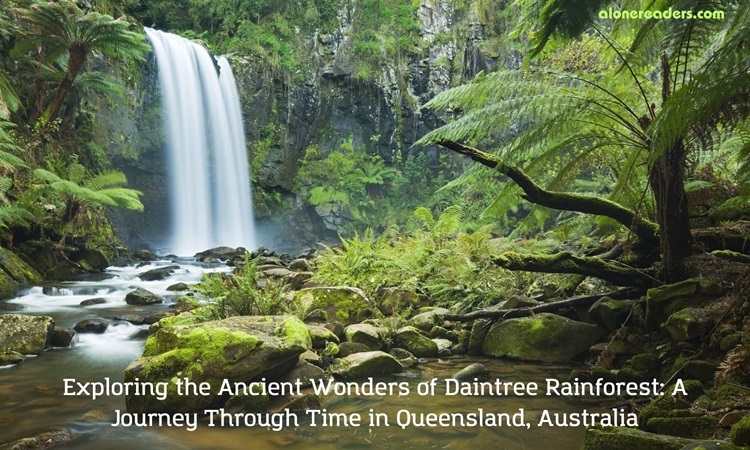 Exploring the Ancient Wonders of Daintree Rainforest: A Journey Through Time in Queensland, Australia