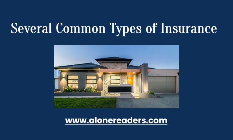 Several Common Types of Insurance