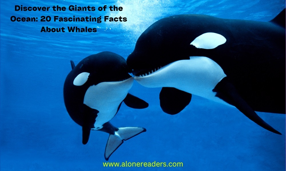 Discover the Giants of the Ocean: 20 Fascinating Facts About Whales