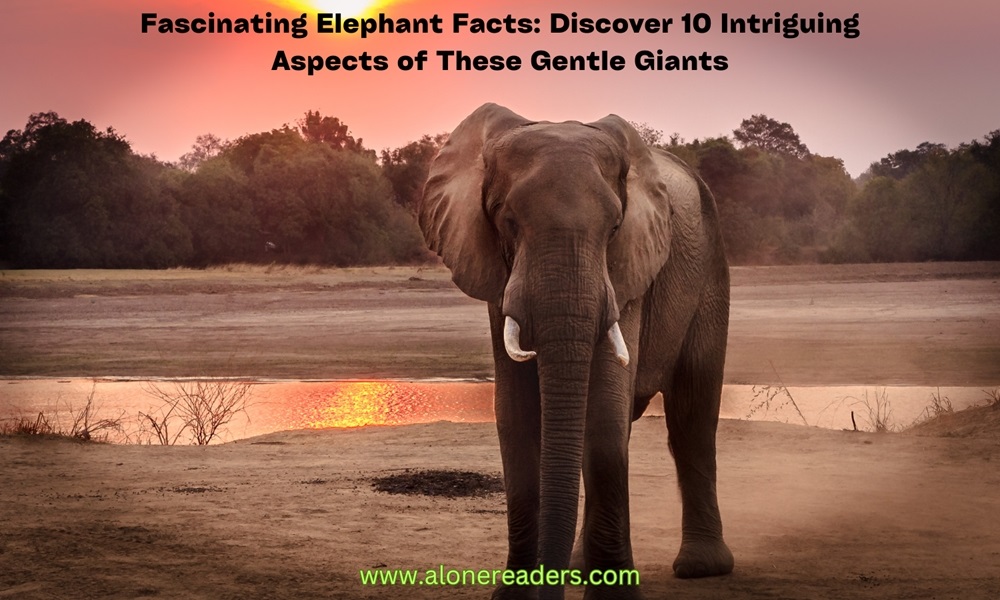 Fascinating Elephant Facts: Discover 10 Intriguing Aspects of These Gentle Giants