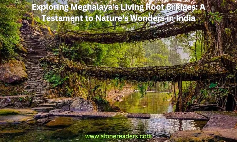 Exploring Meghalaya's Living Root Bridges: A Testament to Nature's Wonders in India