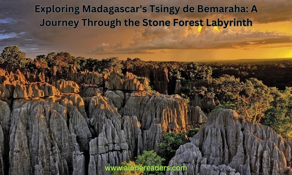 Exploring Madagascar's Tsingy de Bemaraha: A Journey Through the Stone Forest Labyrinth