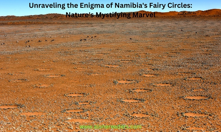 Unraveling the Enigma of Namibia's Fairy Circles: Nature's Mystifying Marvel