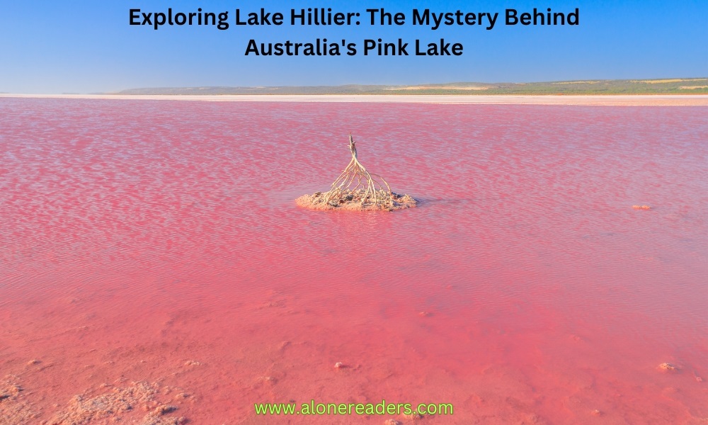 Exploring Lake Hillier: The Mystery Behind Australia's Pink Lake