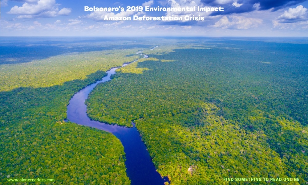 Bolsonaro's 2019 Environmental Impact: Amazon Deforestation Crisis