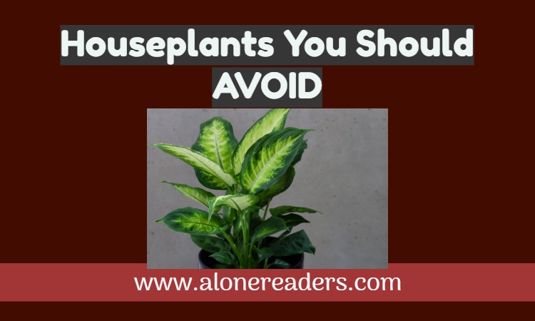 12 Houseplants You Should Avoid