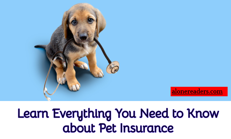 Everything You Need to Know about Pet Insurance