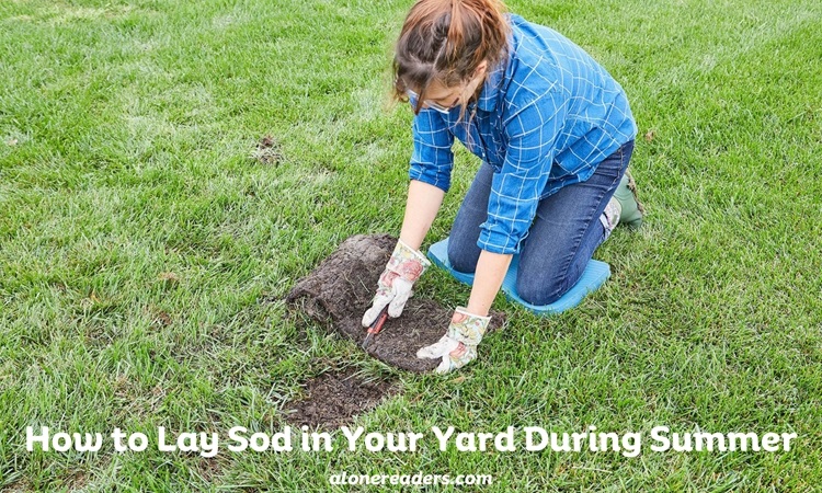 How to Lay Sod in Your Yard During Summer