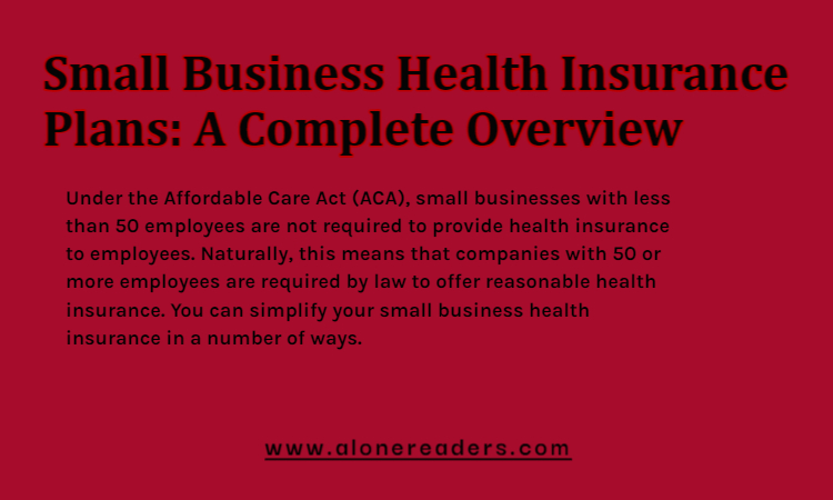 Small Business Health Insurance Plans: A Complete Overview