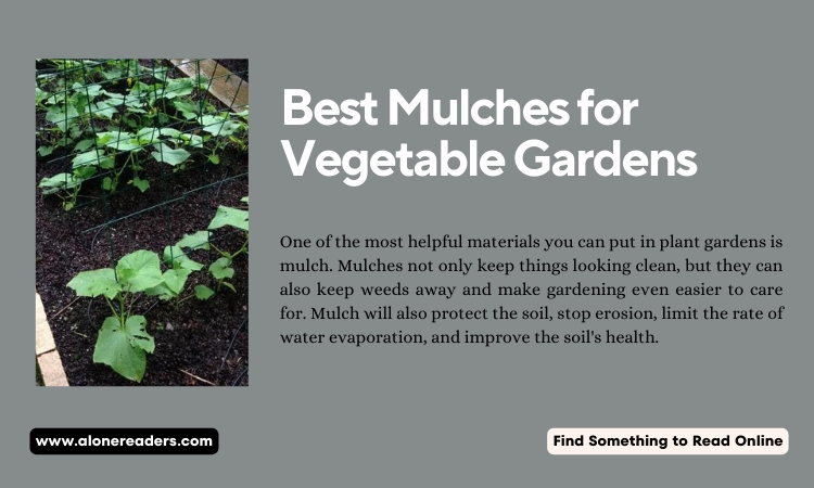 Best Mulches for Vegetable Gardens