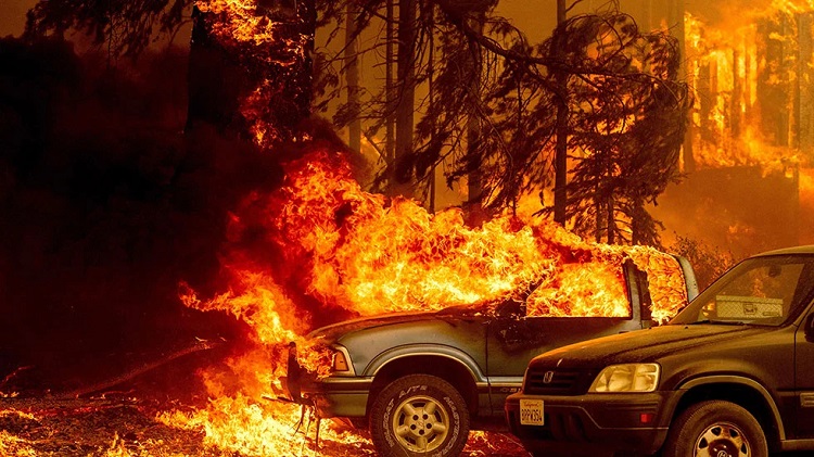 What is a Wildfire, and How Can You Get Prepared to Fight it