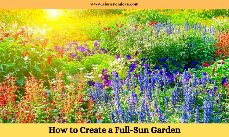 How to Create a Full-Sun Garden