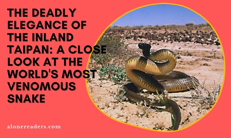 The Deadly Elegance of the Inland Taipan: A Close Look at the World's Most Venomous Snake
