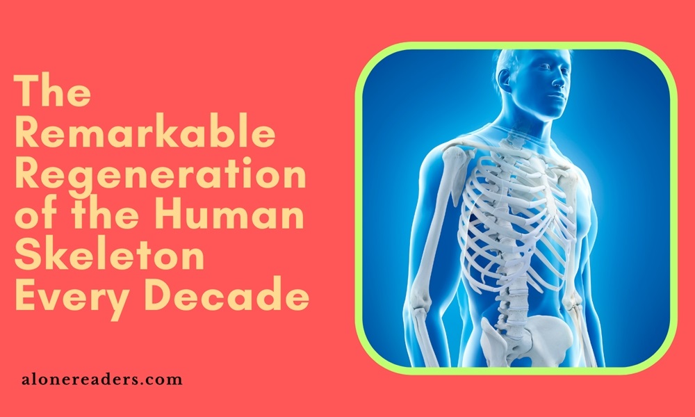 The Remarkable Regeneration of the Human Skeleton Every Decade
