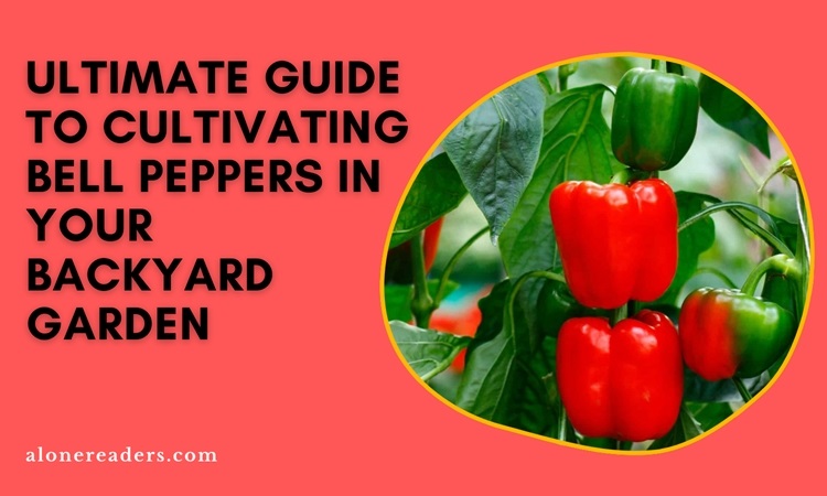 Ultimate Guide to Cultivating Bell Peppers in Your Backyard Garden