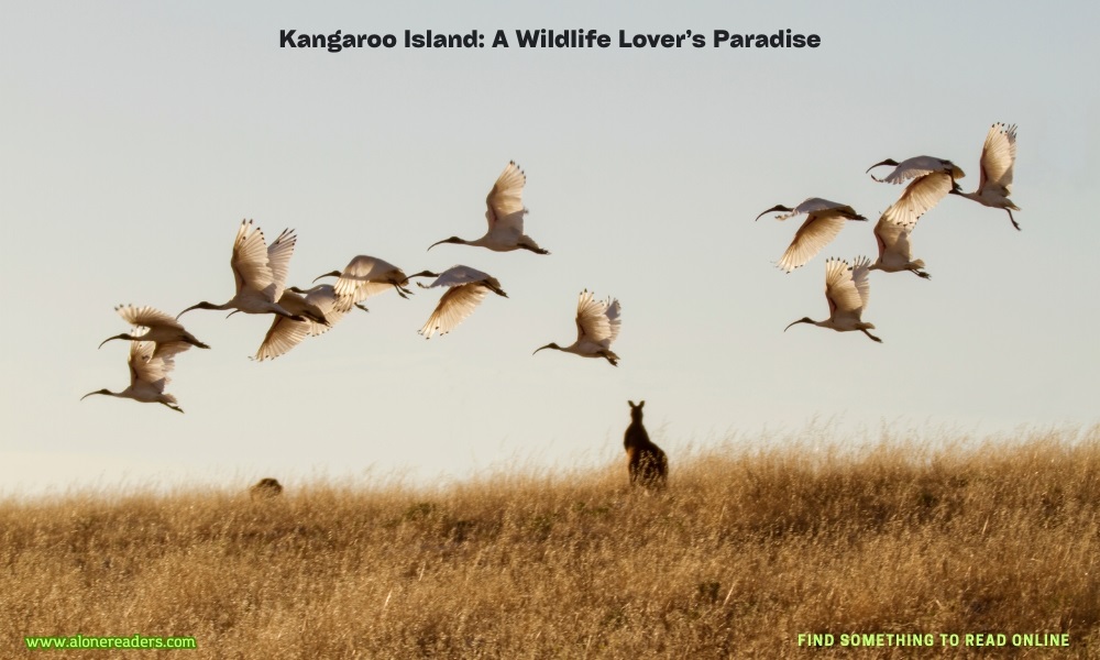 Kangaroo Island: A Wildlife Lover’s Paradise