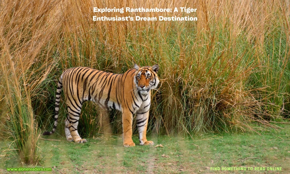 Exploring Ranthambore: A Tiger Enthusiast's Dream Destination