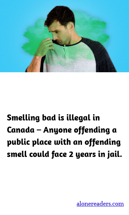 General Knowledge Learning Cards