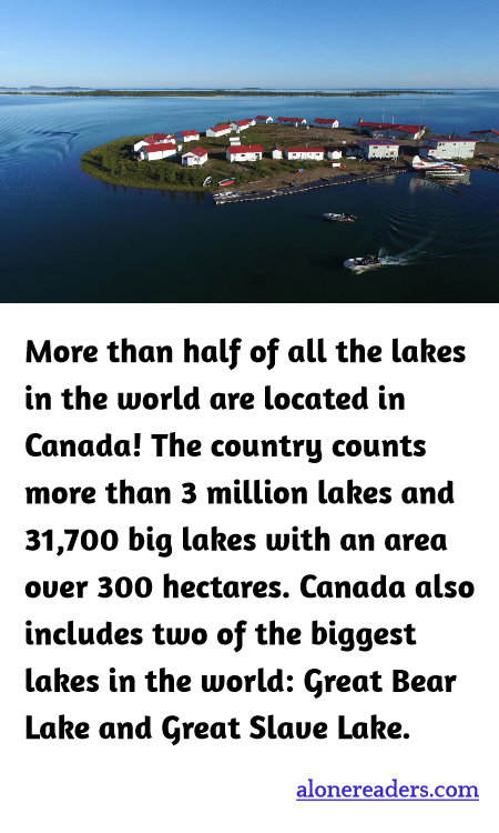 General Knowledge Learning Cards