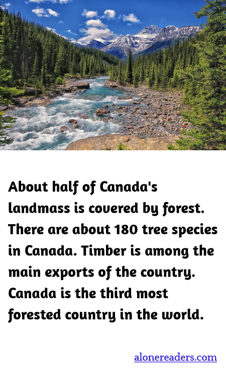 About half of Canada's landmass is covered by forest. There are about 180 tree species in Canada. Timber is among the main exports of the country. Canada is the third most forested country in the world.