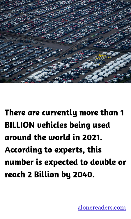 General Knowledge Learning Cards