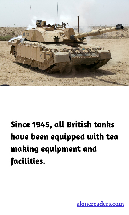 General Knowledge Learning Cards