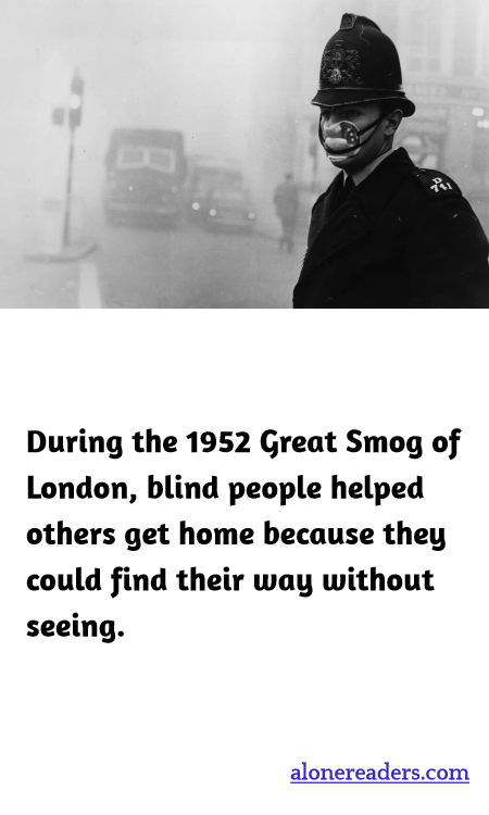 General Knowledge Learning Cards