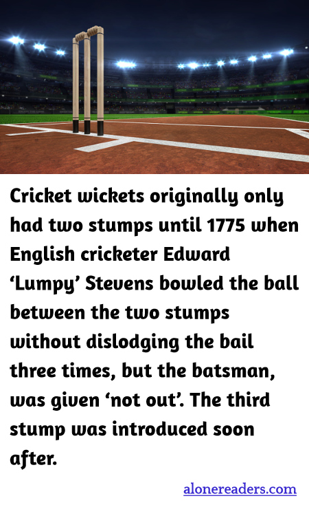 General Knowledge Learning Cards