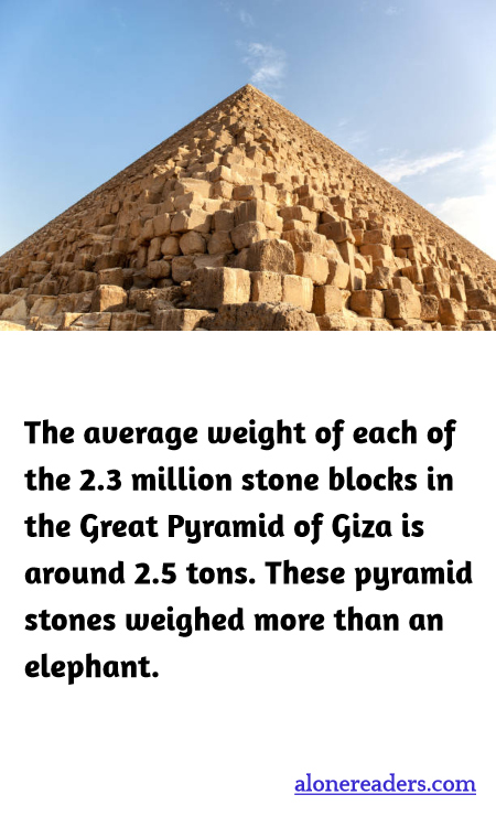 General Knowledge Learning Cards