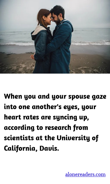 General Knowledge Learning Cards