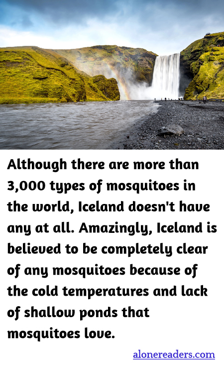 General Knowledge Learning Cards