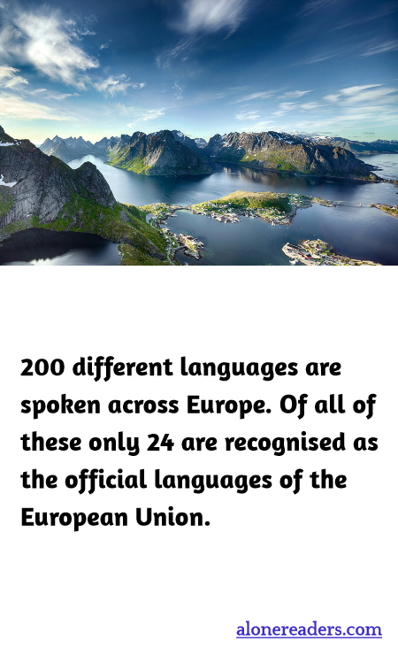 General Knowledge Learning Cards