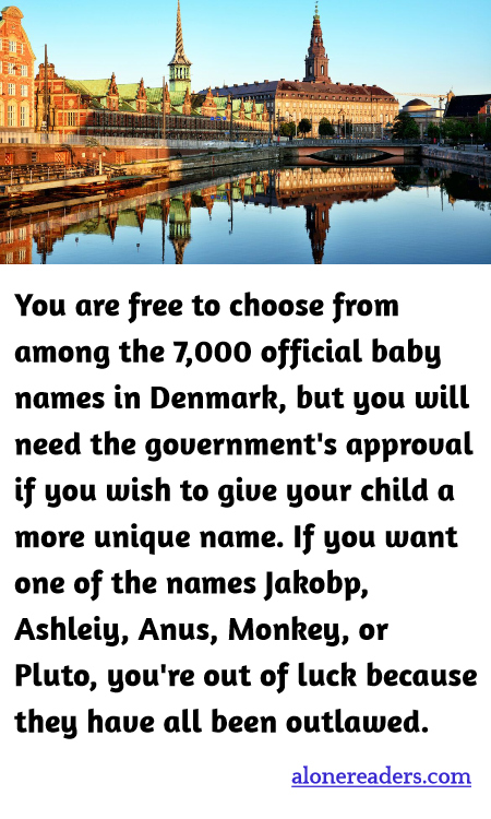 General Knowledge Learning Cards