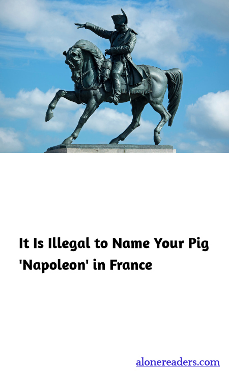 General Knowledge Learning Cards