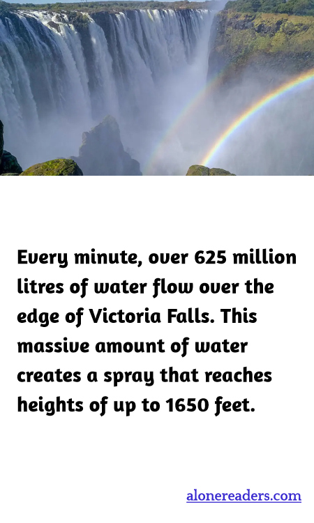 General Knowledge Learning Cards