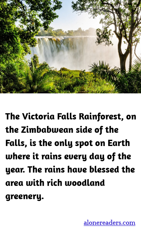 General Knowledge Learning Cards