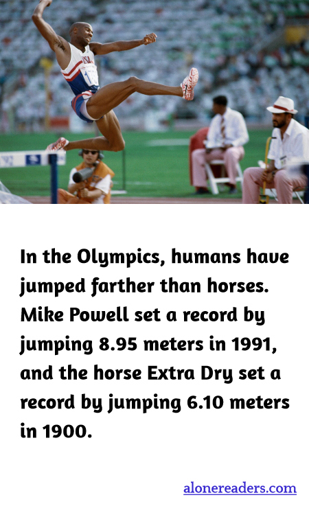 General Knowledge Learning Cards