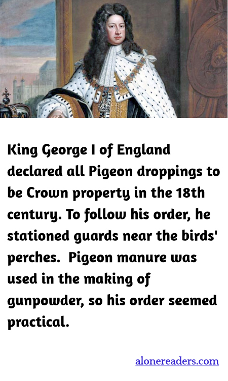 General Knowledge Learning Cards