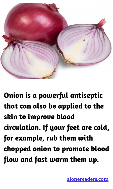 General Knowledge Learning Cards