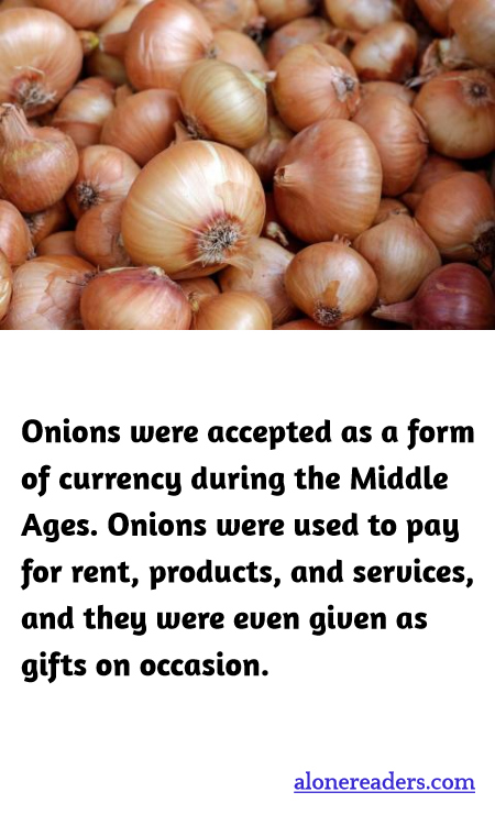 General Knowledge Learning Cards