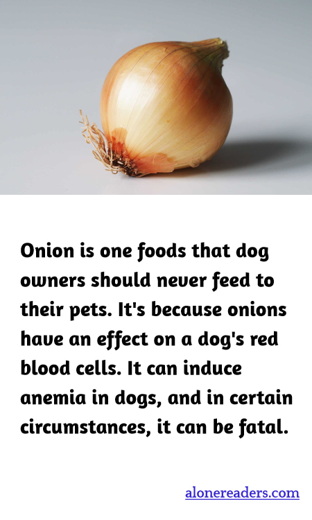 General Knowledge Learning Cards