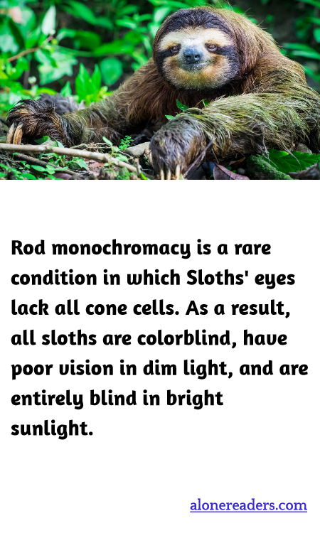 General Knowledge Learning Cards