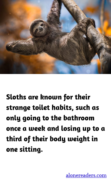 General Knowledge Learning Cards