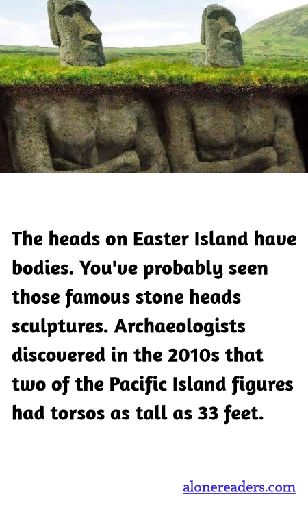 General Knowledge Learning Cards