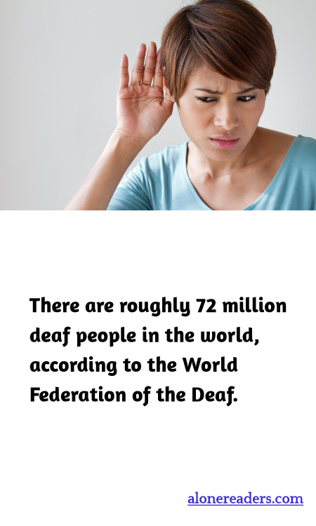 General Knowledge Learning Cards