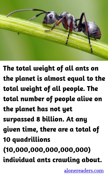 The total weight of all ants on the planet is almost equal to the total weight of all people. The total number of people alive on the planet has not yet surpassed 8 billion. At any given time, there are a total of 10 quadrillions (10,000,000,000,000,000) individual ants crawling about.