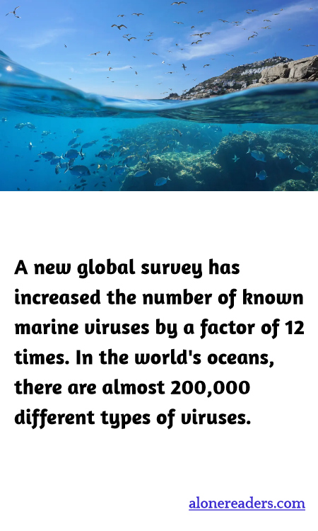 General Knowledge Learning Cards