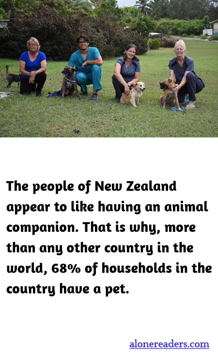 General Knowledge Learning Cards