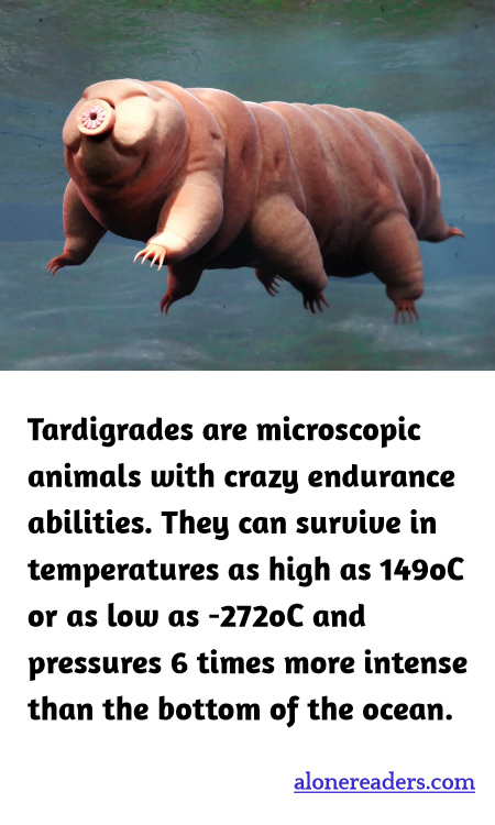 General Knowledge Learning Cards